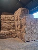 Suikerarm weidehooi, Frans weidehooi, hooibalen, Ophalen of Verzenden, Vee