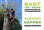 Bomen verwijderen en snoeien, Tuin en Terras, Haardhout, Ophalen of Verzenden, Overige houtsoorten, Blokken
