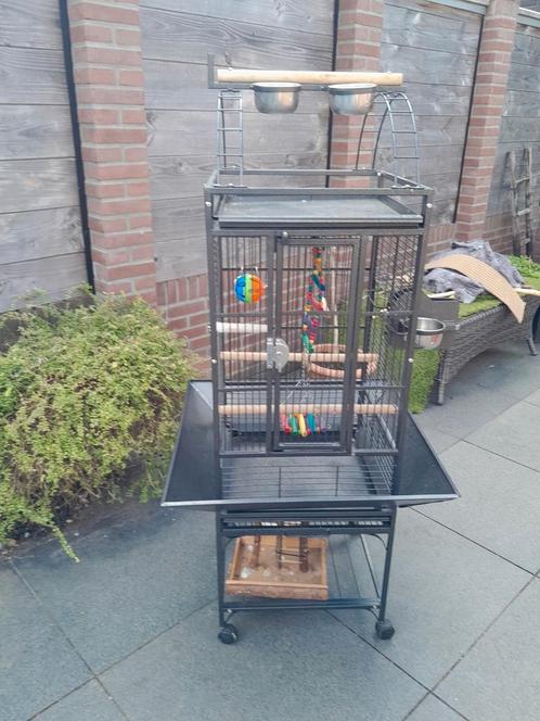 Papegaaienkooi, Dieren en Toebehoren, Vogels | Hokken en Kooien, Vogelkooi, Metaal, Ophalen
