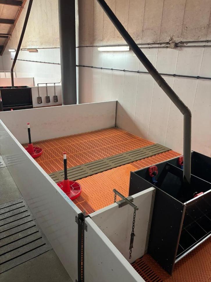 Complete biggenstal [681], Dieren en Toebehoren, Overige Dieren-accessoires, Ophalen of Verzenden