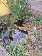 Voorgevormde vijver, Ophalen, Gebruikt