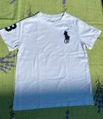 Ralph Lauren shirt maat 6 maat 128, Ophalen of Verzenden, Zo goed als nieuw, Jongen, Shirt of Longsleeve
