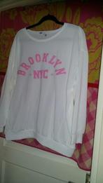 Trui Brooklyn t/m 46, Ophalen of Verzenden, Zo goed als nieuw, Maat 46/48 (XL) of groter, Wit