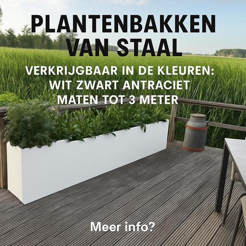 Plantenbakken, Tuin en Terras, Bloembakken en Plantenbakken, Nieuw, Tuin, Vierkant, Ophalen of Verzenden