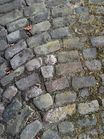 Gebakken Waaltjes/Klinkers beschikbaar voor biedingen
