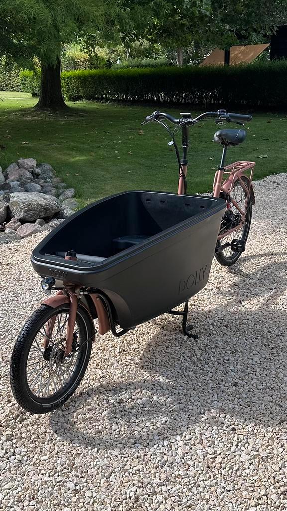 E-Dolly Bakfiets MaxDrive 600 Wh  • Slechts 358 km, Fietsen en Brommers, Fietsen | Bakfietsen, Zo goed als nieuw, Elektrisch, Ophalen