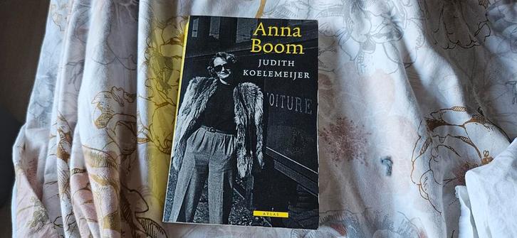Judith Koelemeijer - Anna Boom, Boeken, Overige Boeken, Zo goed als nieuw, Ophalen of Verzenden
