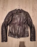 Froccella lederen biker jacket (balmain look), Maat 46 (S) of kleiner, Ophalen of Verzenden, Zo goed als nieuw, Zwart