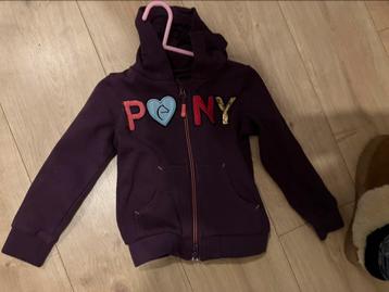 Pony vestje maat 104 beschikbaar voor biedingen