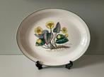 Wedgwood, Florabunda serveerschaal, Waterlelie, vintage, Ophalen of Verzenden