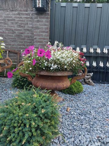 Grote set gietijzeren potten / tuinvazen beschikbaar voor biedingen