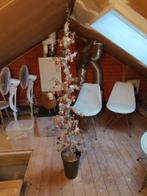 Moderne aangeklede smalle kerstboom., Diversen, Ophalen