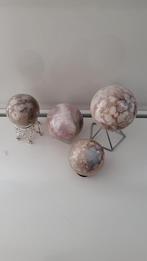 Bloemagaat bollen uitzoeken KORTING, Ophalen of Verzenden