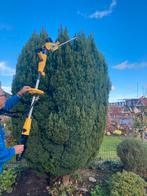 Telescopische Elektrische Heggenschaar, Ophalen, Gebruikt, Elektrisch