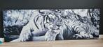 Mooi schilderij witte tijger, Schilderij, Ophalen of Verzenden, Zo goed als nieuw, 50 tot 75 cm