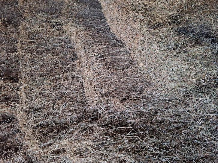 Superkwaliteit hooi te koop, Dieren en Toebehoren, Dierenvoeding, Vee, Ophalen