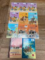 Avi leesboeken Roskam (paardrijden) Vivian den Hollander los, Boeken, Ophalen of Verzenden, Zo goed als nieuw, Vivian den Hollander