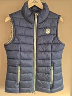 Springstar bodywarmer mt L, Dieren en Toebehoren, Paardrijkleding, Ophalen of Verzenden, Zo goed als nieuw, Dressuur, Bovenkleding