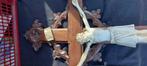 Houten kruis ( Crucifix), Ophalen