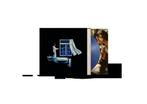 Conan Gray - Wishbone (Limited Edition Blue Marble Vinyl), Cd's en Dvd's, Vinyl | Pop, Verzenden, 2000 tot heden, Nieuw in verpakking