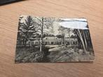 Ansichtkaart Savelberg Paviljoen Sanatorium Hornerheide Horn, Verzamelen, Ansichtkaarten | Nederland, Ophalen of Verzenden