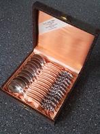 12 prachtige zilveren lepeltjes In cassette., Antiek en Kunst, Ophalen of Verzenden