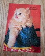 Rode kitten in een mandje, Verzenden, 1980 tot heden, Gelopen, Hond of Kat