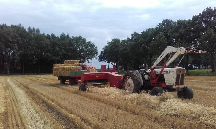 Stro in handzame pakken ( Gerst stro), Dieren en Toebehoren, Dierenvoeding, Vee, Ophalen