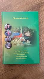 Boek gastouderopvang, Ophalen of Verzenden, Zo goed als nieuw, Overige niveaus