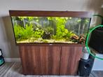 juwel rio 240  aquarium, Dieren en Toebehoren, Vissen | Aquaria en Toebehoren, Ophalen, Gebruikt