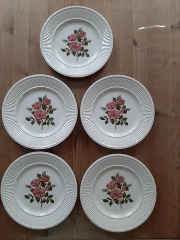 WEDGWOOD BRIAR ROSE - 5 ONTBIJT BORDJES - DIA 23 CM  beschikbaar voor biedingen