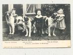 Middelburg hondenkennel “Even Buiten” op ‘t Zand, Ophalen of Verzenden, Voor 1920, Ongelopen, Zeeland