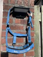 Eskadron halster maat P2, Dieren en Toebehoren, Ophalen of Verzenden, Zo goed als nieuw, Overige soorten