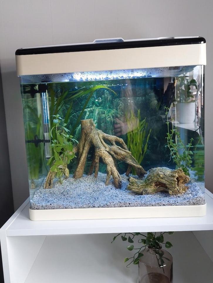 Superfish panorama 50 aquarium incl alle benodigdheden!, Dieren en Toebehoren, Vissen | Aquaria en Toebehoren, Zo goed als nieuw