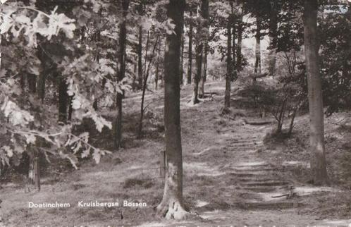 doetinchem  kruisbergse  bossen, Verzamelen, Ansichtkaarten | Nederland, Gelderland, 1960 tot 1980, Ophalen of Verzenden