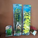 29 mooie aquarium planten, Dieren en Toebehoren, Ophalen, Nieuw, Plant(en), Steen of Hout