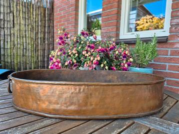 Prachtige grote antieke koperen plantenbak jardiniere  beschikbaar voor biedingen