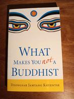What Makes You Not a Buddhist - Dzongsar Jamyang Khyentse, Achtergrond en Informatie, Spiritualiteit algemeen, Ophalen of Verzenden