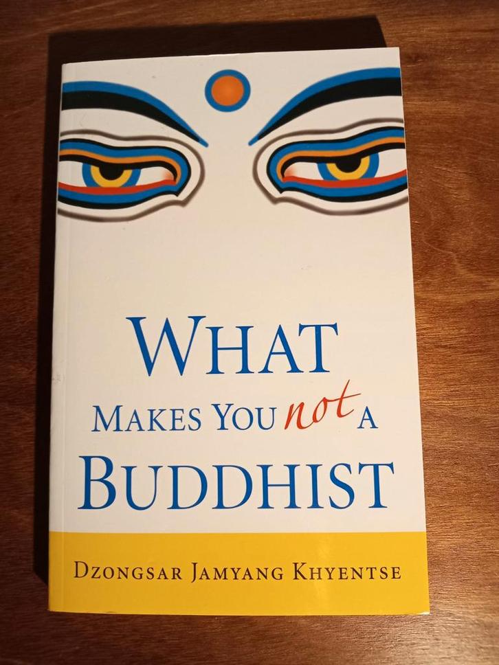 What Makes You Not a Buddhist - Dzongsar Jamyang Khyentse, Boeken, Esoterie en Spiritualiteit, Zo goed als nieuw, Achtergrond en Informatie