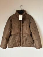 Nieuw - Second Female puffer Jack bruin - M, Maat 38/40 (M), Second Female, Bruin, Nieuw