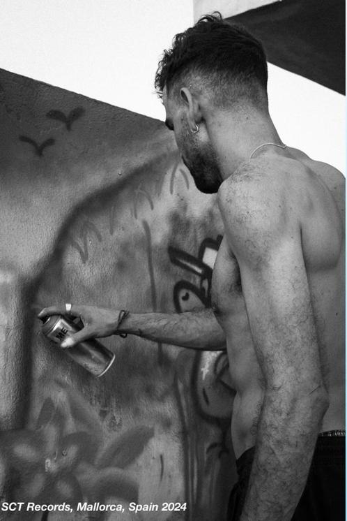 Muralismo, Arte callejero, talleres y mas, Antiek en Kunst, Kunst | Overige Kunst, Verzenden