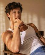 2x shawn mendes zitplaatsen, Twee personen, Augustus