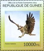 2014 Guinee Fauna Roofvogels Arend - Uilen, Postzegels en Munten, Postzegels | Thematische zegels, Ophalen of Verzenden, Dier of Natuur
