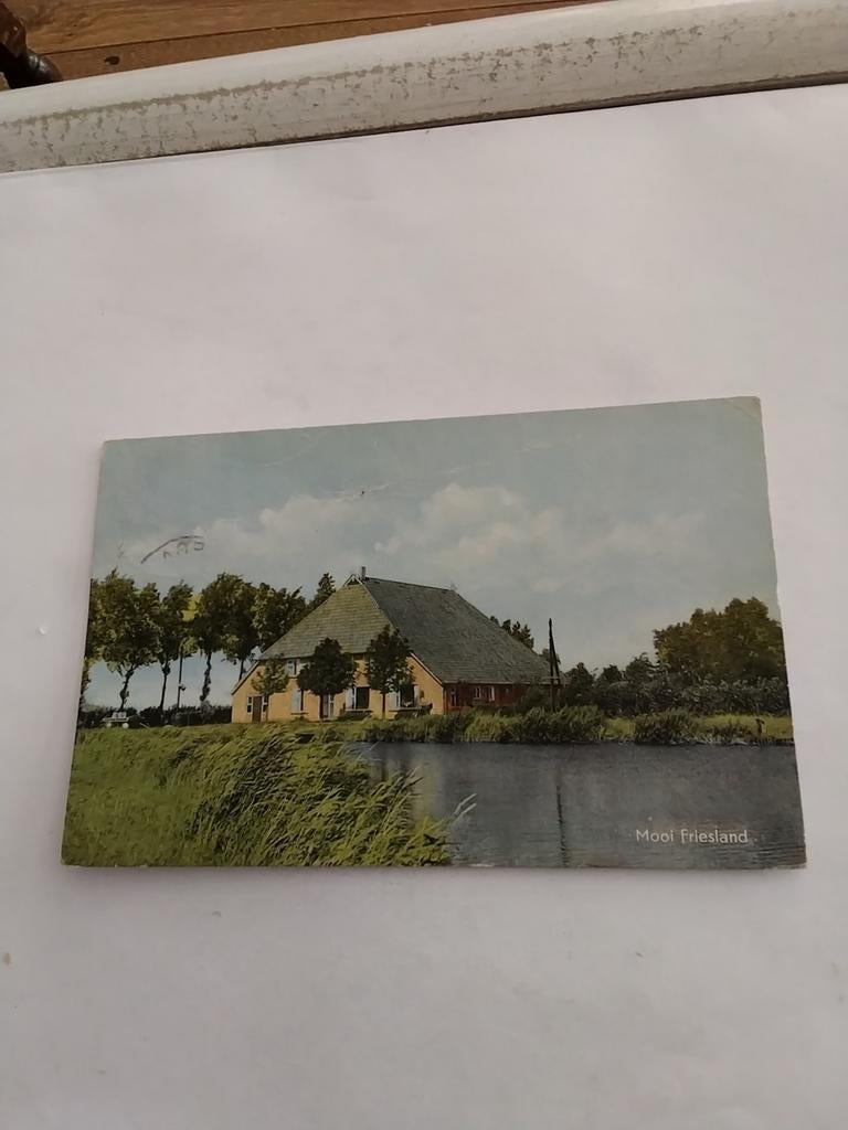 MOOI FRIESLAND.  BOERDERIJ, Ophalen of Verzenden, Friesland