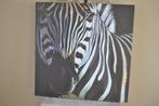 Afbeelding, Zebra, 100 bij 100 cm, Canvas doek, Ophalen, Gebruikt, 75 tot 100 cm, Foto of Poster