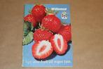 Tips voor fruit uit eigen tuin - Willemse Hillegom - ca 1970, Boeken, Gelezen, Ophalen of Verzenden, Moestuin