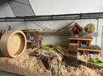 Mooi en compleet glazen terrarium voor knaagdier, Dieren en Toebehoren, Kooi, Zo goed als nieuw, 75 tot 110 cm, Ophalen