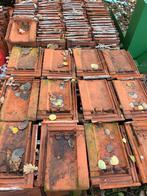 Circa 1200 tuile du nord dakpannen - Alles in 1 Koop, Doe-het-zelf en Verbouw, Dakpannen en Dakbedekking, Ophalen, Gebruikt, Steen of Klei