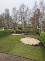 Coniferen, Ophalen, Conifeer, 100 tot 250 cm