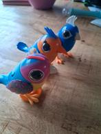 Digibirds, Ophalen of Verzenden, Zo goed als nieuw, Jongen of Meisje